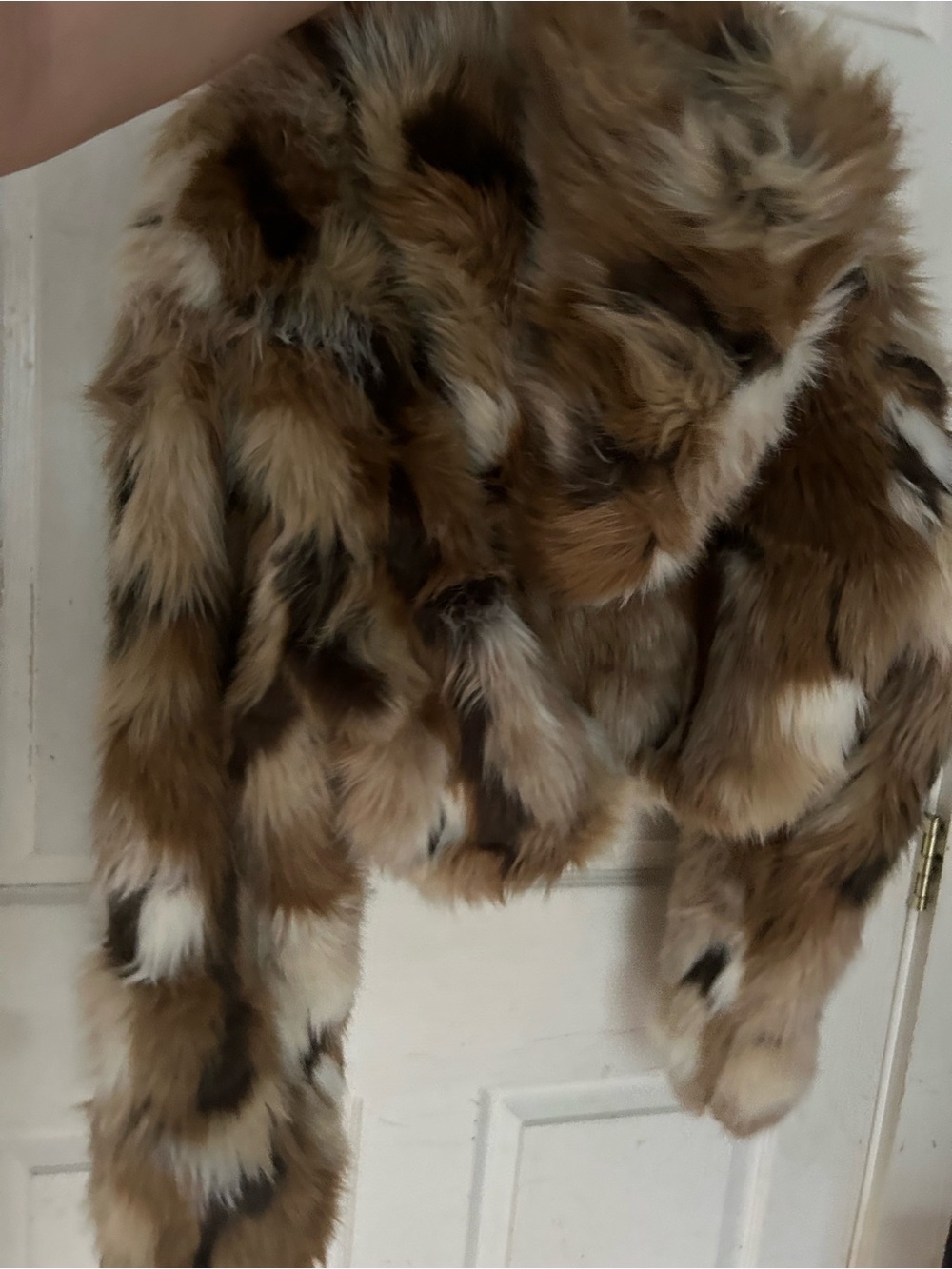 Akira Faux Fur Cropped Jacket in Multi-Tone Brown - Picture 6 of 12